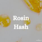 Rosin Hash Cannabis