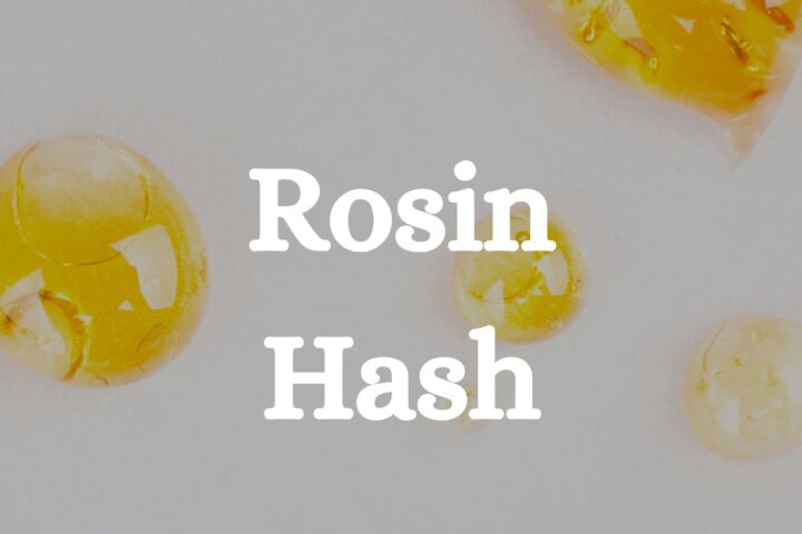 Rosin Hash Cannabis
