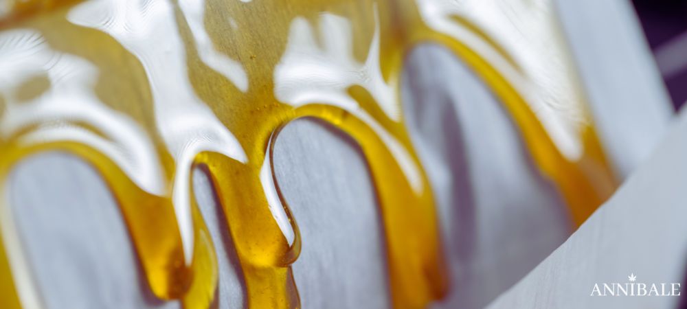 Rosin Hash Live Cannabis Oil Hot