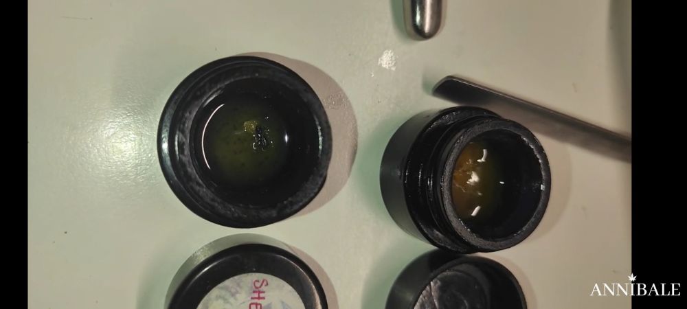 Rosin Live Rosin Hash Rosin Annibale Seedshop