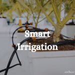 Smart Indoor Cannabis Irrigation