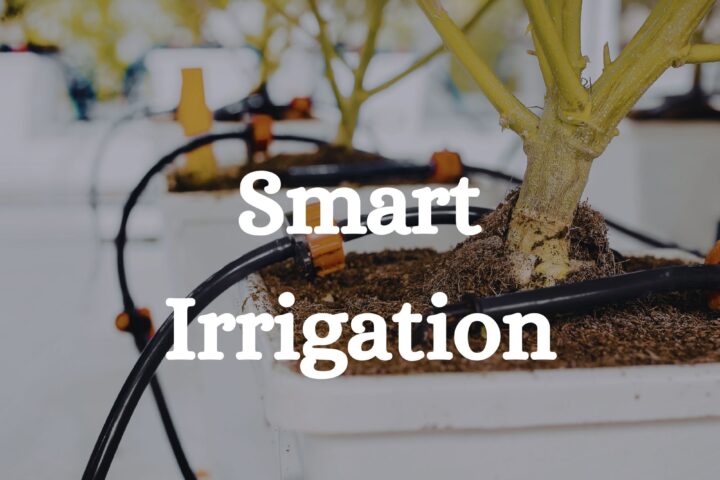 Smart Indoor Cannabis Irrigation