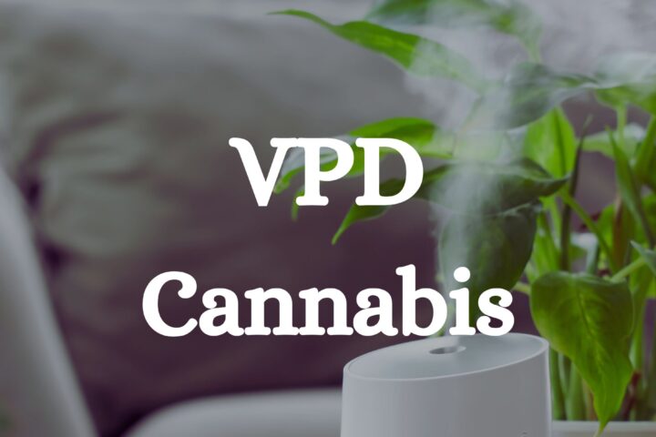 Vpd Indoor Cannabis Grow