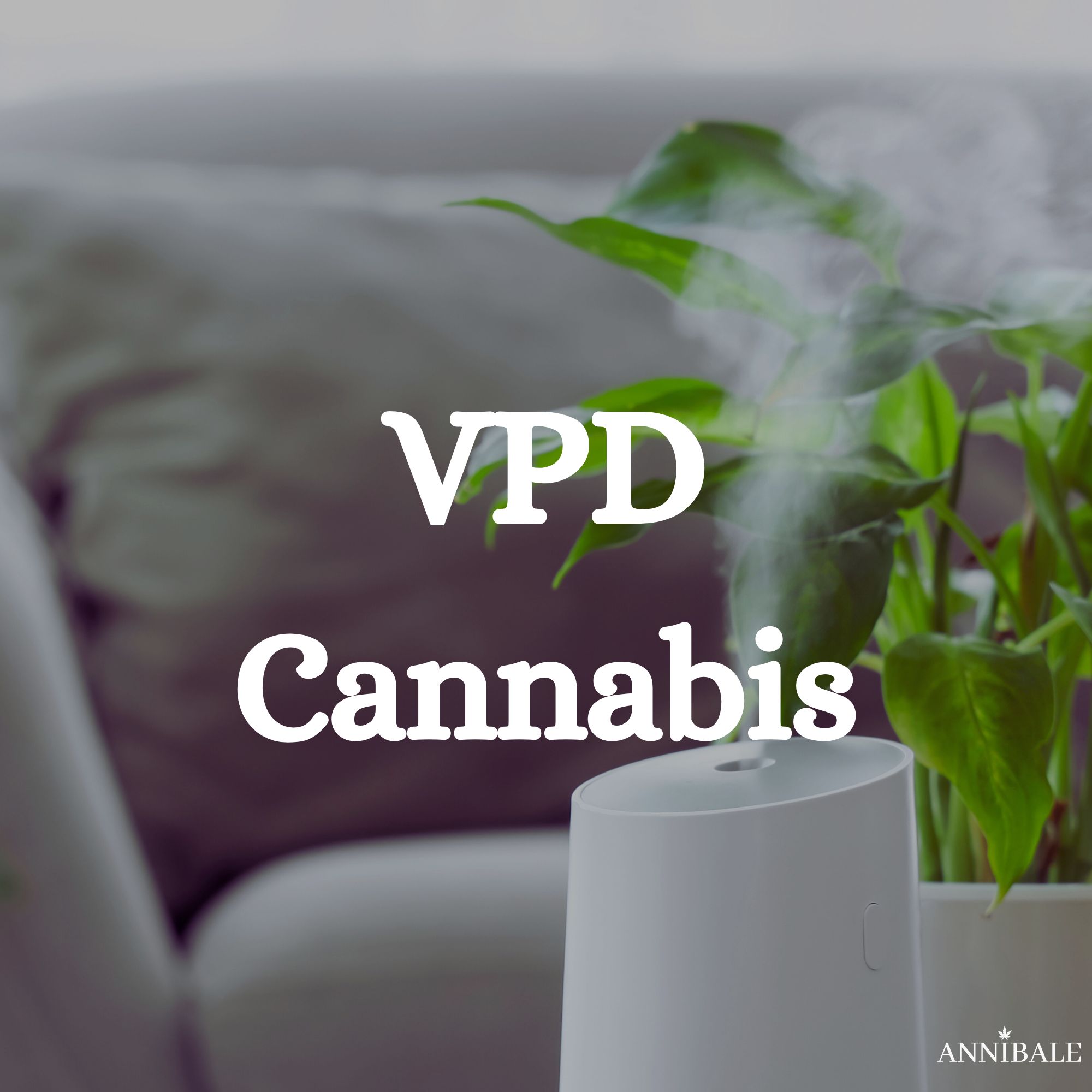Vpd Indoor Cannabis Grow