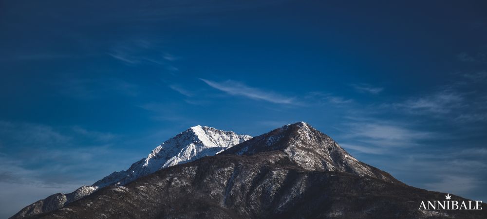 High Altitude Mountain Cannabis Seeds Annibale Seedshop
