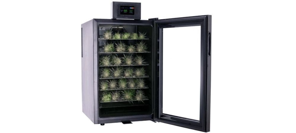 Fridge Cannabis Cannatrol Cold Lotus Curing