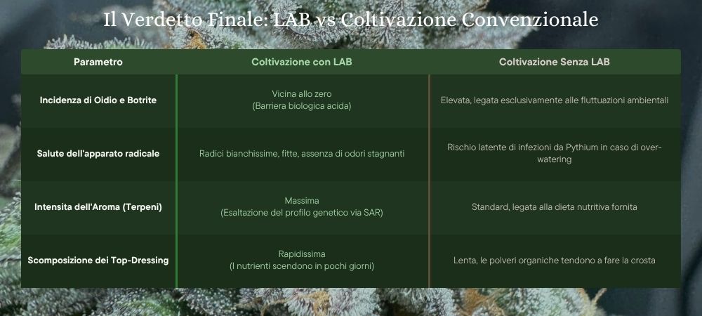 Lab Cannabis Bacilli Lattici Coltivazione Erba
