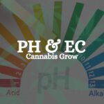 Ph Ec Cannabis Grow Guide