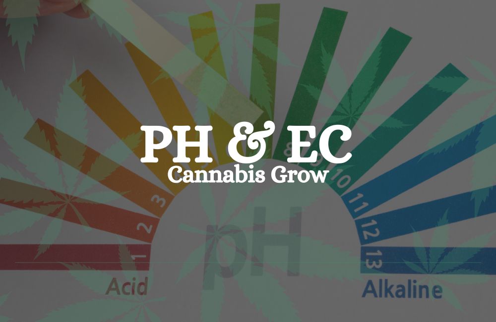 Ph Ec Cannabis Grow Guide
