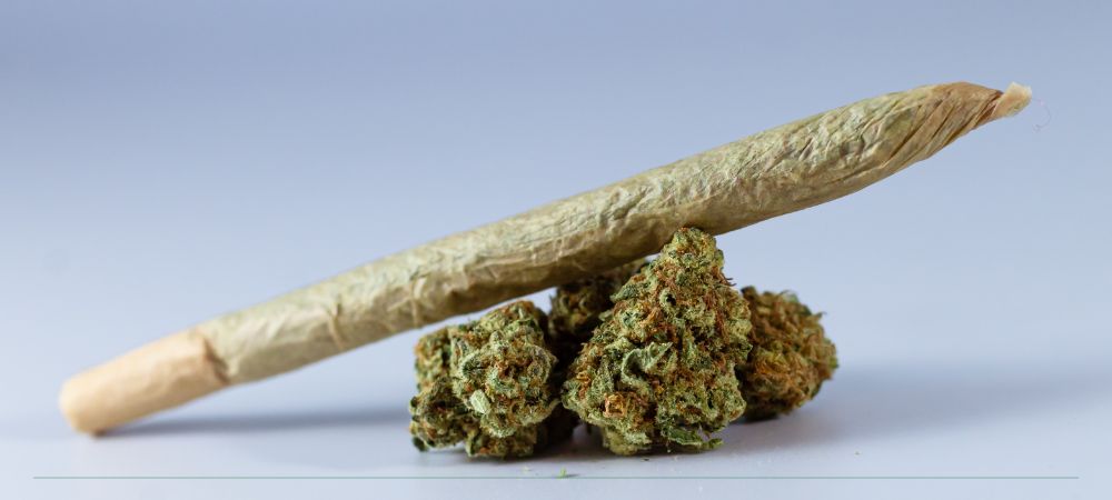 cannabis perfetta ec ph giusti